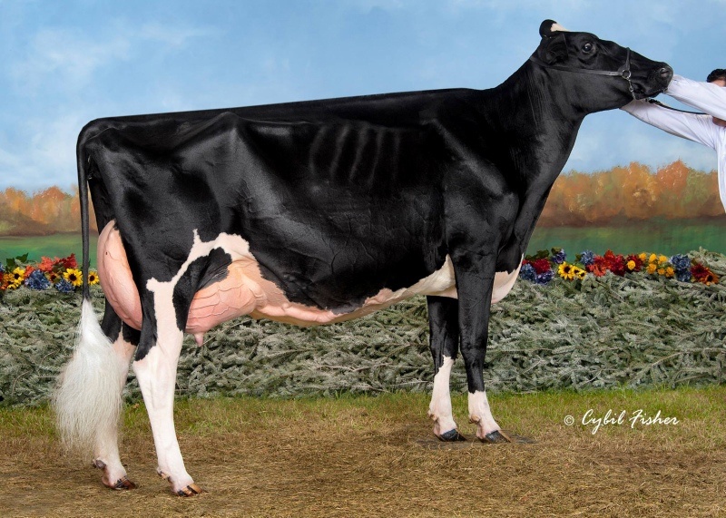 FRASER — 799HO00144